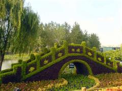 Topiary Photos